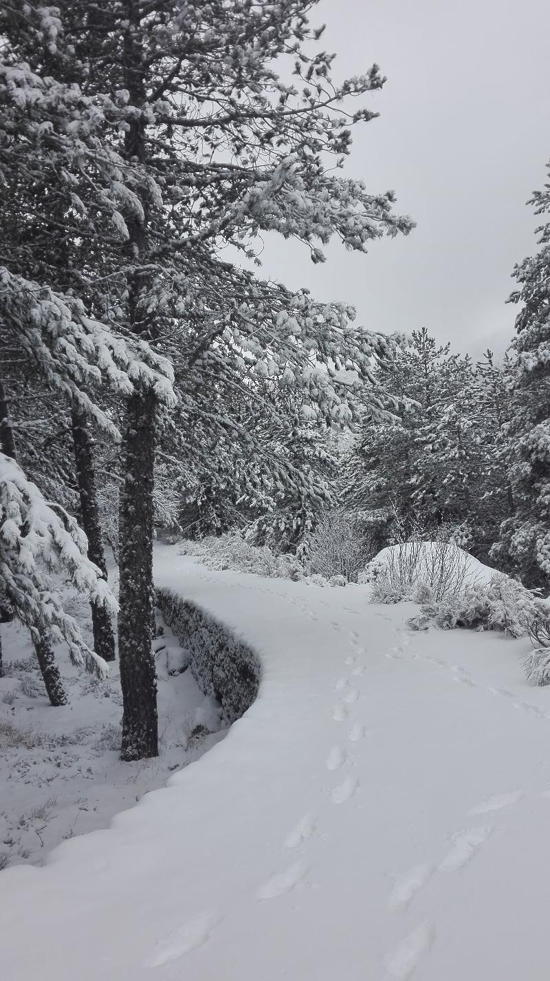 Pousada Da Serra Da Estrela Covilhã Zewnętrze zdjęcie